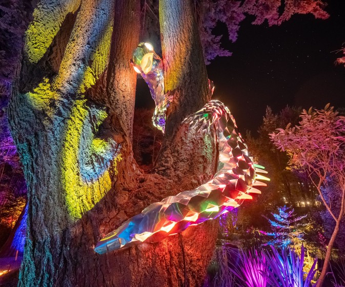 HDRPhotos LumaEnchantedby@fedepagola 15