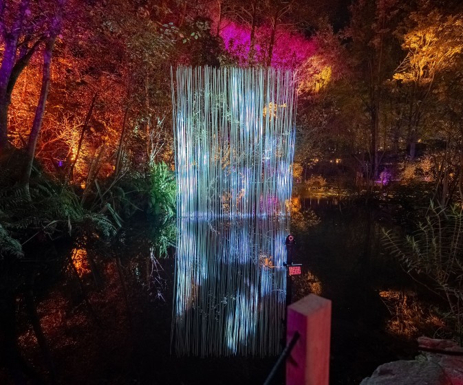 HDRPhotos LumaEnchantedby@fedepagola 30