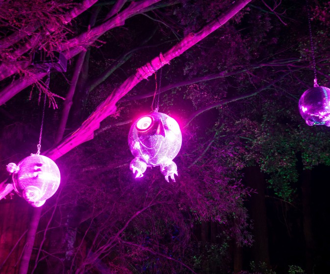 HDRPhotos LumaEnchantedby@fedepagola 4