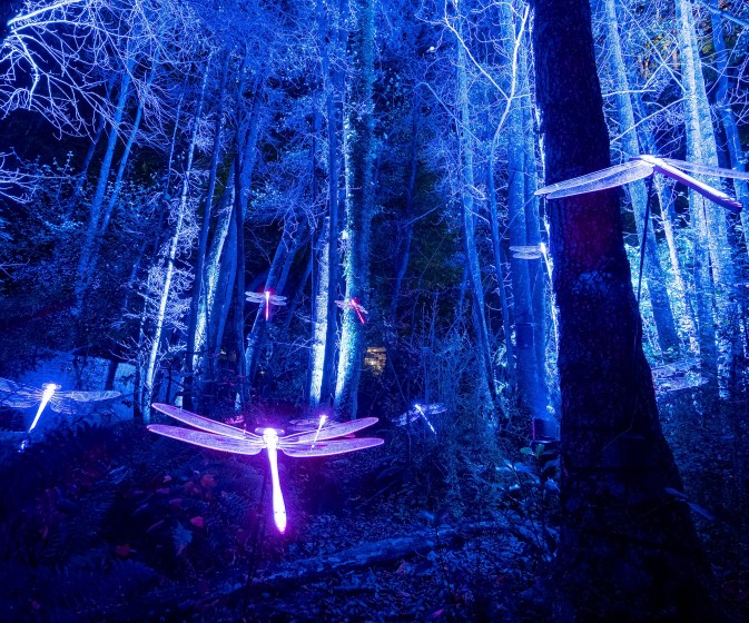 HDRPhotos LumaEnchantedby@fedepagola 51