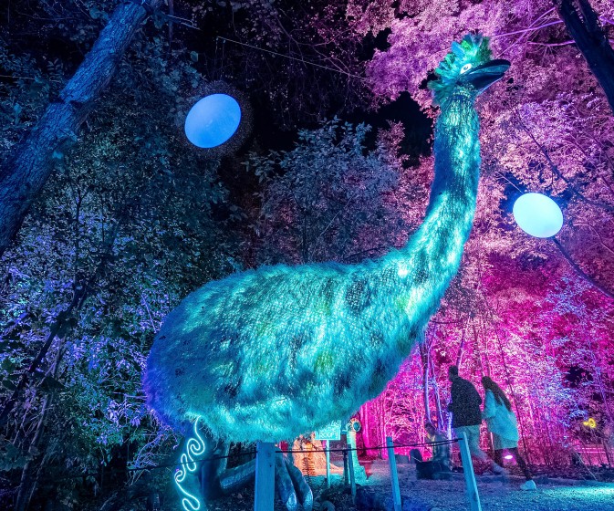 HDRPhotos LumaEnchantedby@fedepagola 69