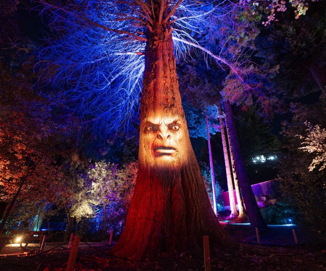 HDRPhotos LumaEnchantedby@fedepagola 92