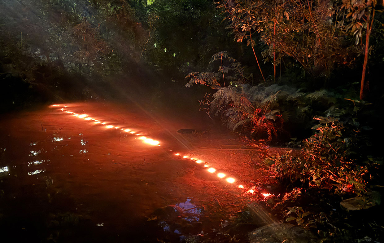  Reflections and Ripples Create Living Art in Water