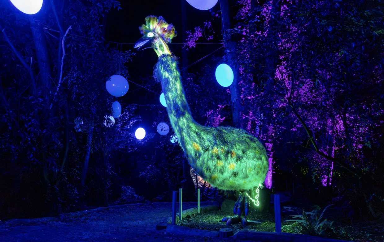Illuminated moa sculpture glowing in the dark forest