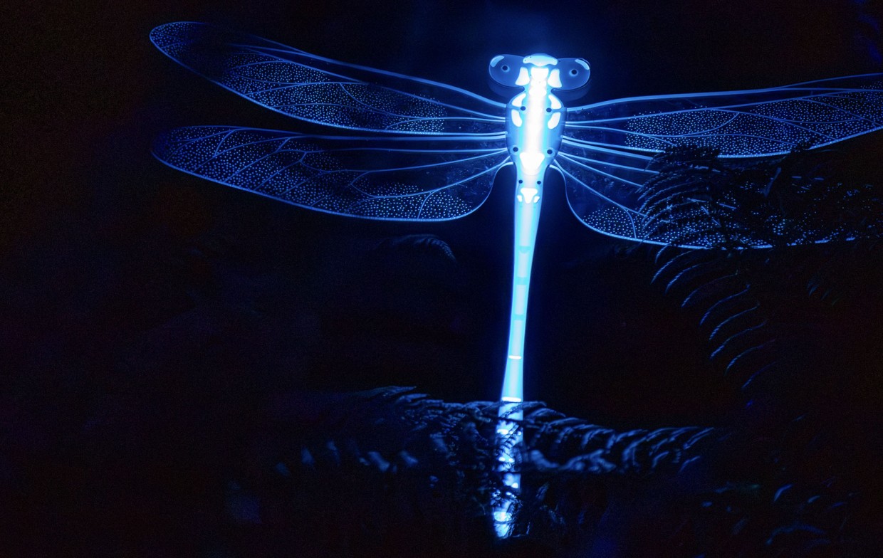 Glowing dragonfly sculpture hidden among forest