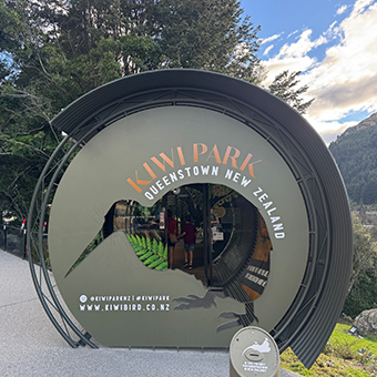 Kiwi Park LUMA Enchanted Experience Nature